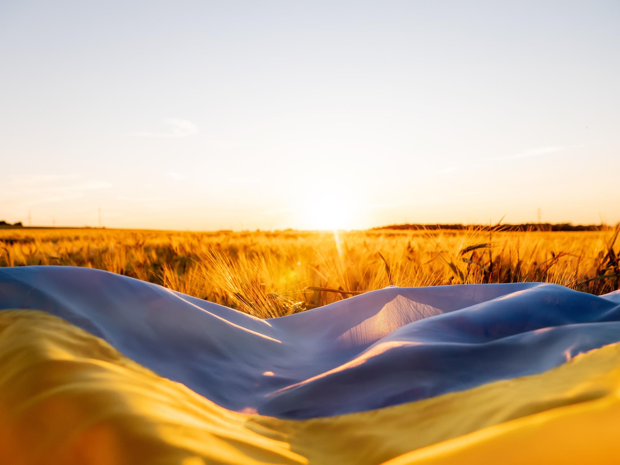 Greetings on Ukraine's Independence Day